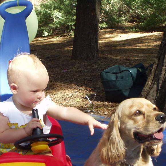 Meet your Posher, Terry - Picture 1 of 1